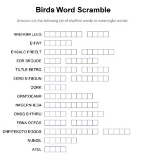 Word Scramble Puzzle Book Example